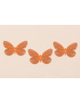 Mariposa Plana 36*25mm Coral