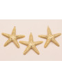 Colgante Estrella Coral 60mm Stainless Steel Oro