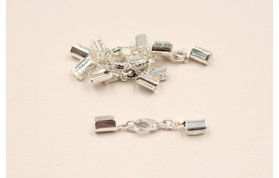 TERMINAL MOSQUETON  PLATA