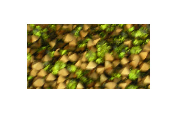 SIMIL SWAROVSKY SS9 OLIVINE