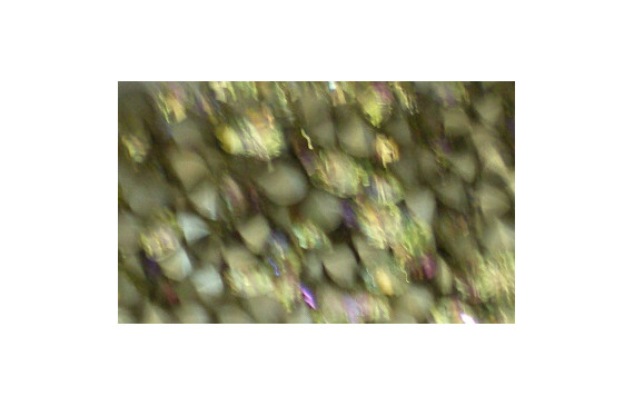 Strass Swarovski SS39 Lum Green