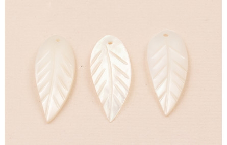 Pétalo curvado Nacar 26*10mm