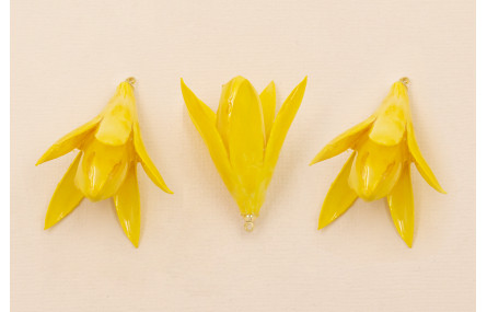 Flor Natural Campanilla abierta 35*30mm Amarilla