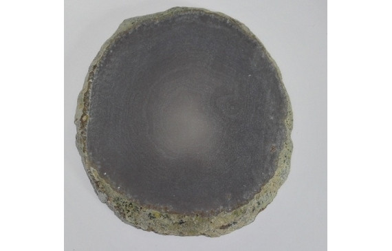 Chapa Agatha mate 9,5cms GRIS