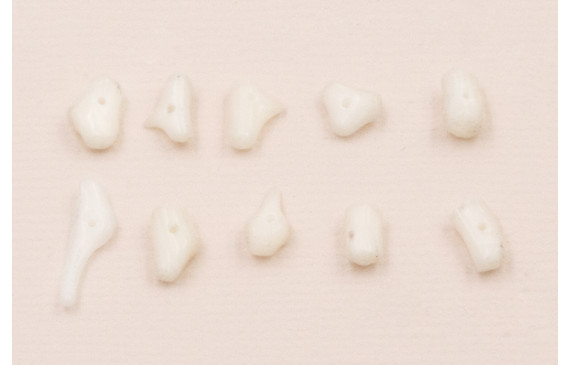 Ristra de 40cms de Chips Coral Blanco de 10-12mm