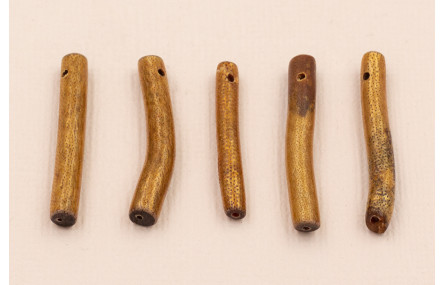 Palo Coral hueco 3*30mm Marrón