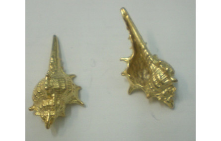 Colgante caracola 33*16mm Oro Mate