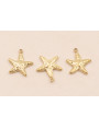 Colgante Estrella Mar Acero Inox. 10*10mm Oro