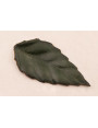 Hoja Cuero relieve 8*3,7 verde
