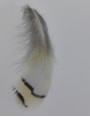 Pluma blanca rayada 80mm