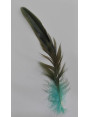 Pluma Aturquesada 100-130mm