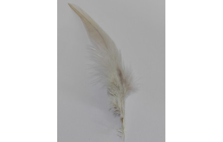 Pluma teñida Beige 100-130mm