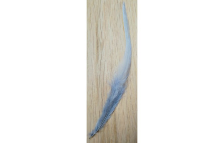 Pluma teñida Gris 100-130mm