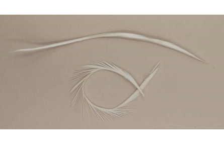 Pluma Rígida 170mm Longitud