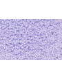 10 gramos de Abalorio cristal 2mm Microtubo Lila