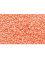 Bolsa de 8grs Delica Dyed OP Peach DB1663