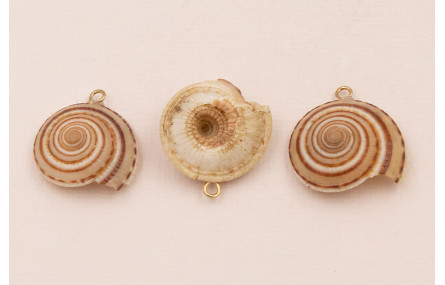 Caracola redonda 20-27mm diametro