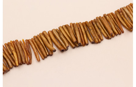 Palo Coral hueco 3*30mm Marrón