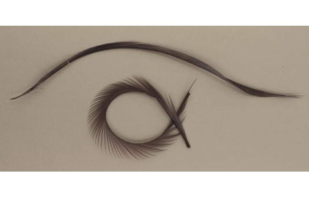 Pluma Rígida 170mm Longitud Gris