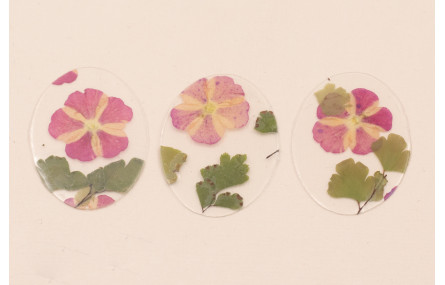 Lentejuela Ovalo 40*28 Flores Naturales Granates