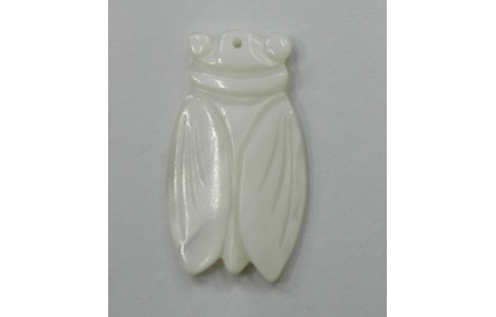 Escarabajo Nacar 30*22