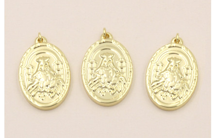 Colgante Acero Inox. Medalla Virgen 26*18mm Oro