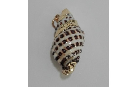 Concha matices Dorados