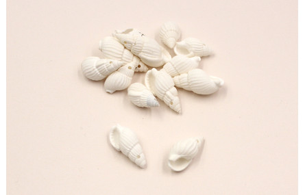 Cracola Blanca 20-22*10mm