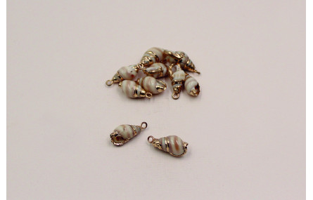 Caracola borde dorado 15*10mm con anilla