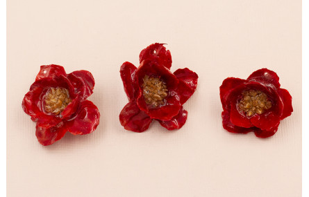 Flor Natural con Resina 30-35mm diam. Color Roja
