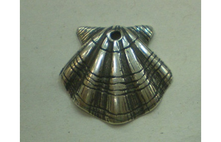 Concha Santiago 20*20 P.Vieja