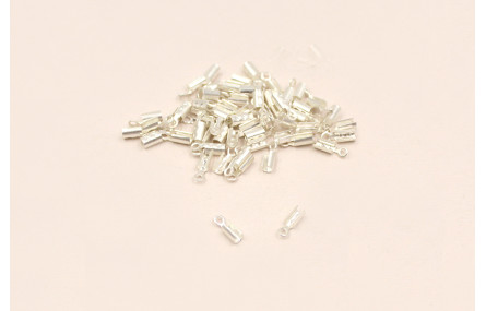 TERMINAL 2,2MM Plata Mate