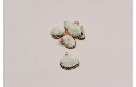 Concha borde dorado 18-24mm*15*18mm con anilla