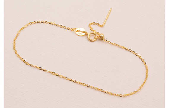 Pulsera Completa Plata 925 17cms Oro 18K- 1 micra