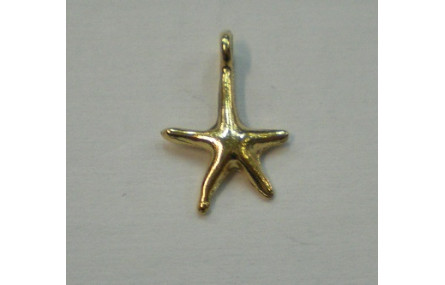 Cuenta Estrella de Mar 15*10mm Oro