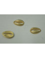 Pieza Conchita de Mar 10*8mm Oro Mate