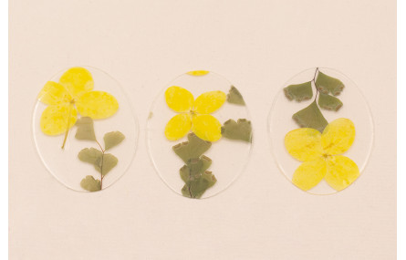 Lentejuela Ovalo 40*28 Flores Naturales Amarillas