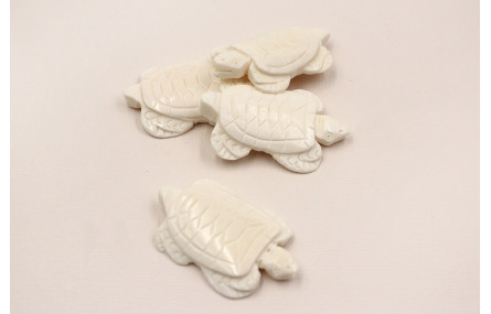 Tortuga Nacar 45*26mm