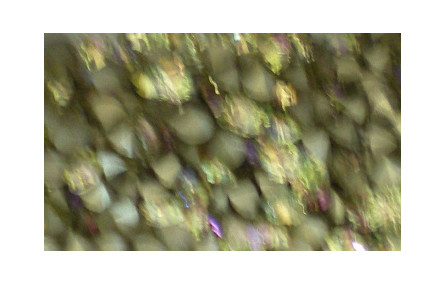 Strass Swarovski PP18 Lum. Green