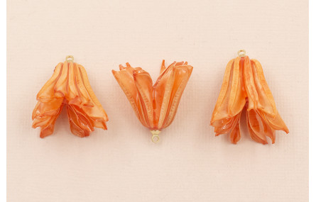 Flor Natural Campanilla con Resina 30*20 Arcilla