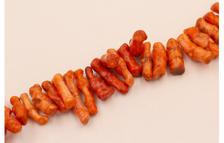 Ristra de 20cms Tallos de Coral de 15 a 40mm