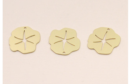 Chapa irregular 21mm estrella labrada