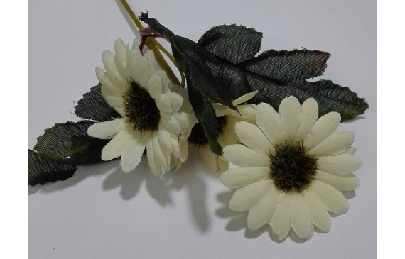 Ramilete Margaritas 4 a 5cms diámetro Beige