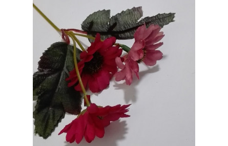 Ramilete Margaritas 4 a 5cms diámetro granate