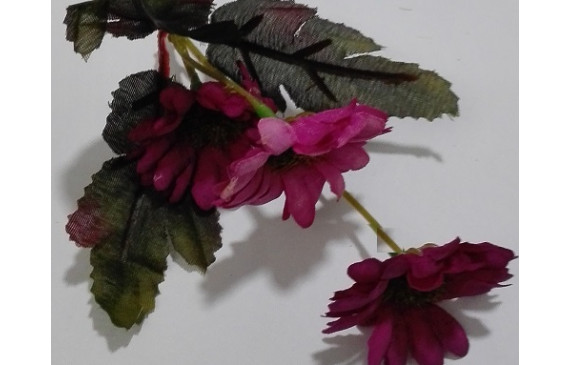 Ramilete Margaritas 4 a 5cms diámetro Morado