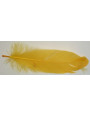 Pluma 18cms  Amarilla