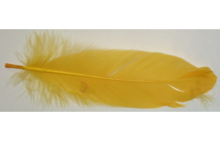 Pluma 18cms  Amarilla
