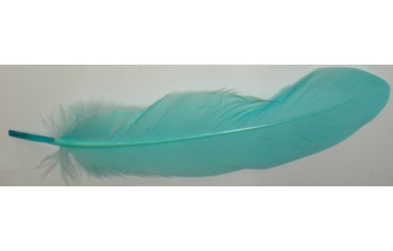 Pluma 18cms  Azul claro
