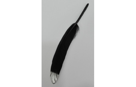 Pluma negra 130mm punta plata