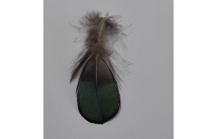 Pluma cola tornasol 80mm